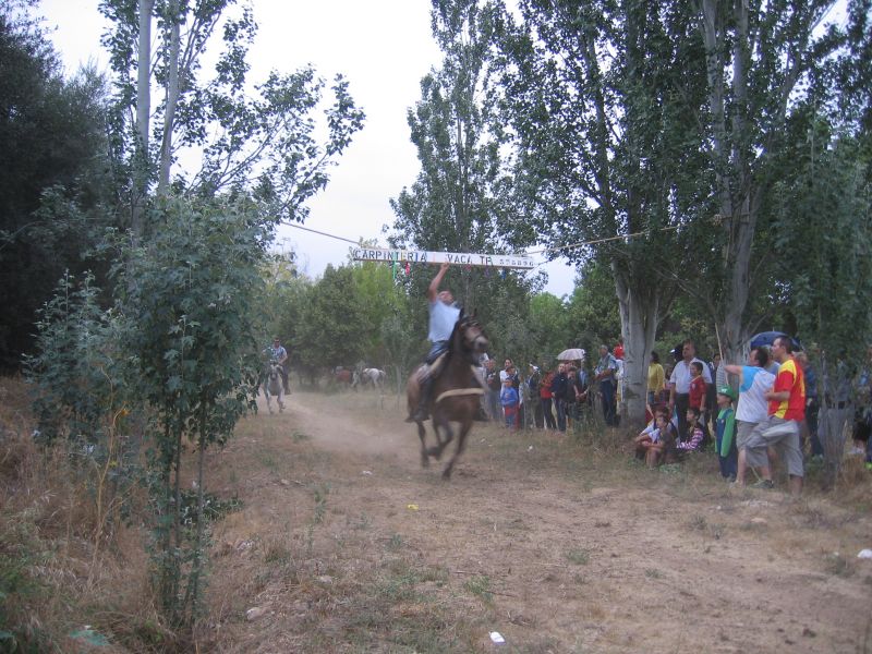 5-Fiesta1 055.JPG